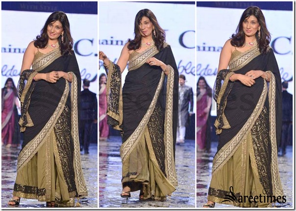 Shaina_NC_Sarees (7)