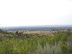 South Africa Day 1 - On Safari
