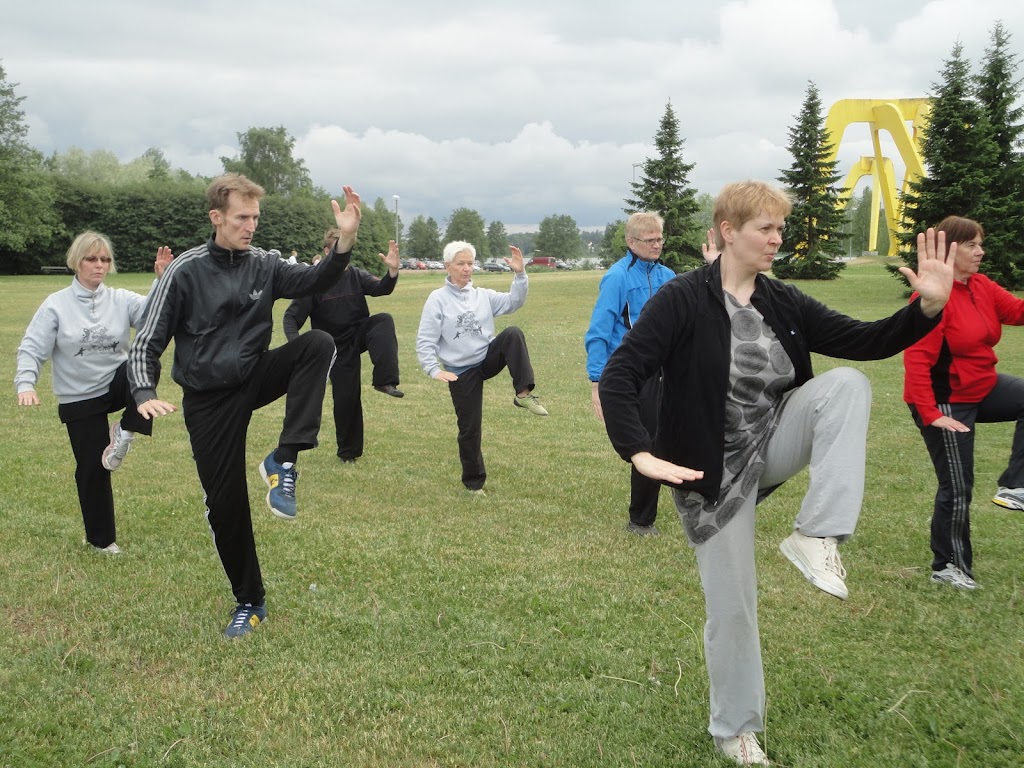 Taijin kesätreenit Järvenpään Rantapuistossa kesällä 2011