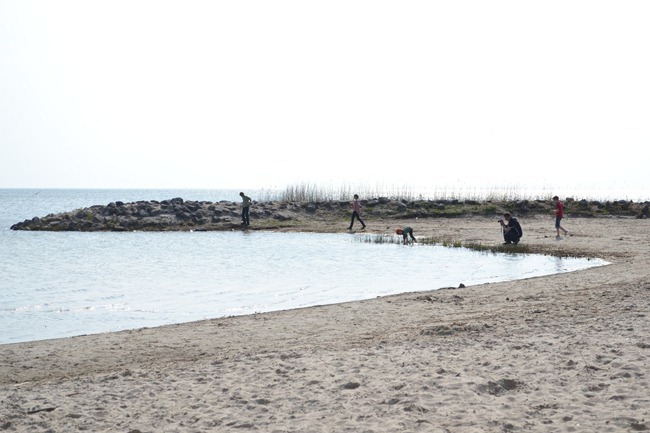 DSC_1195 DSC_1195