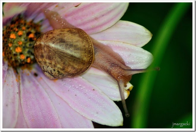DSC_2248 DSC_2248