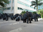 IMG_20121231_123701.jpg