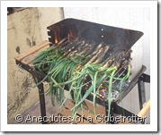 Spring onions on fire