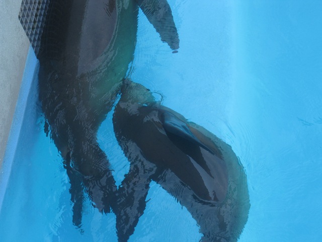 [IMG_7611%255B2%255D.jpg]