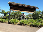 Cindy, Hao and Me @ Hamilton Garden