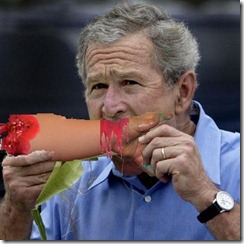 george bush baby