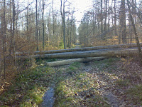01172012900.jpg Photo 01172012900.jpg Photo