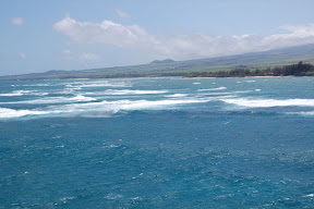 DSC_1203.JPG