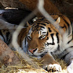 2008_02270032.jpg