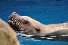 DSC_0278.JPG