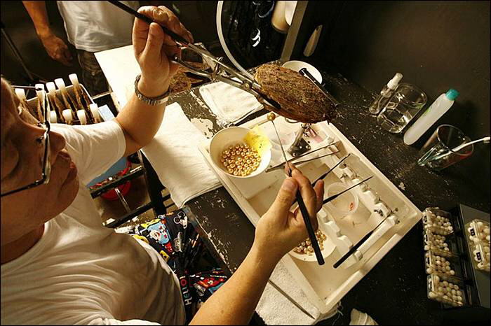 Image Dimension: 700x466 :: The making of Golden Pearl on the island of Palawan in southwestern Philippines The making of Golden Pearl on the island of Palawan in southwestern Philippines