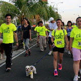 Pet Express Doggie Run 2012 Philippines. Jpg (106).JPG