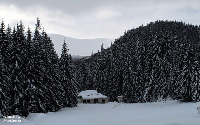 Valcan Straja Oslea 1584 rw iarna pe munte, Munții Vâlcan, Oslea, schi, schi de tura Valcan-Straja-Oslea_1584_rw.jpg