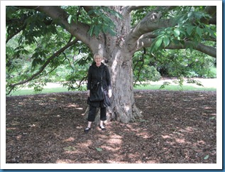 IMG_1443 IMG_1443