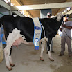 superleite2011_dia1607_33.JPG