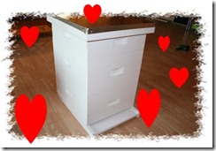 valentine special valentine special