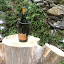Wine stand for te terrace http://www.skibreezy.com