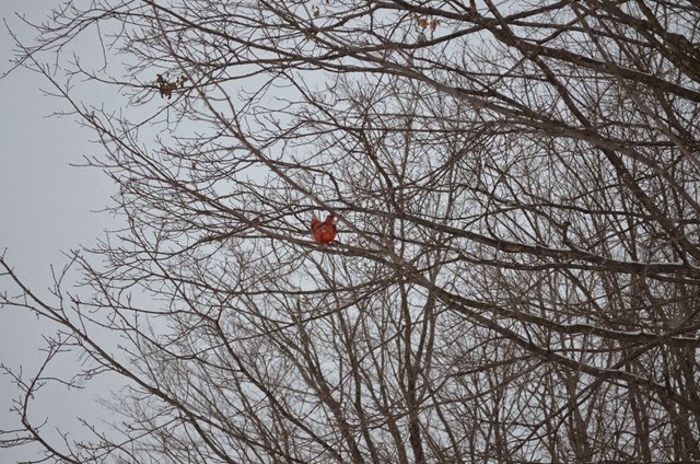 [DSC_0443%255B2%255D.jpg]