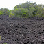 This Is More Like It...  Volcanic Rock At Rangitoto - Auckland, New Zealand