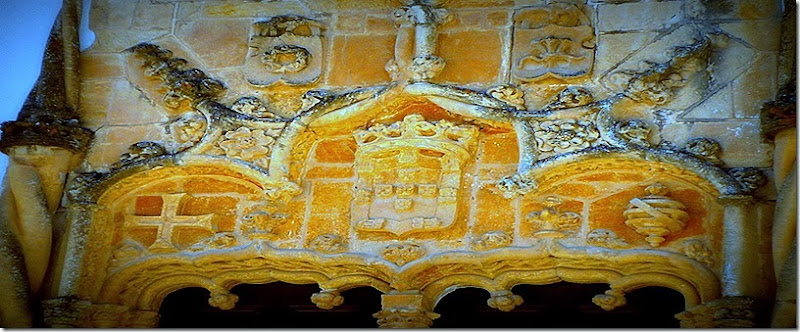 P1080937 P1080937