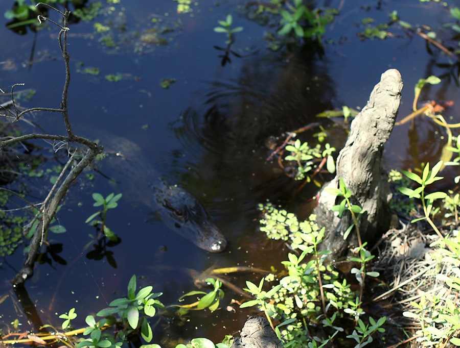 [IMG_3448w%255B1%255D.jpg]