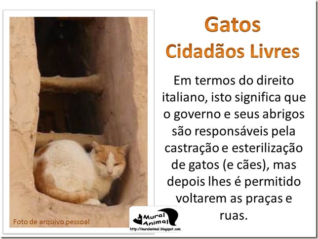 papa_ama_gatos (10) papa_ama_gatos (10)