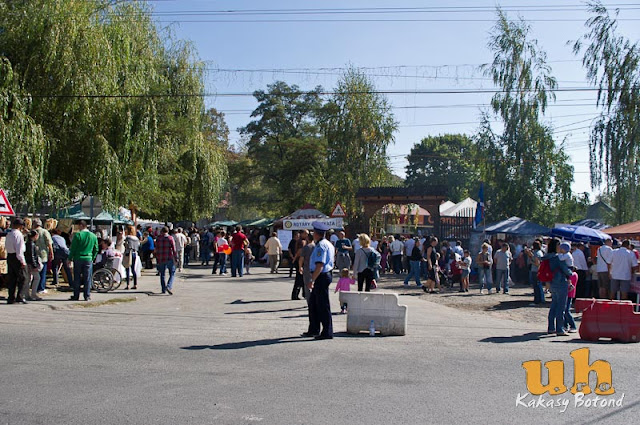 kaposzta fesztival g01.jpg