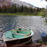 Lago Peyto -   Jasper NP - Alberta, Canadá