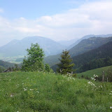 2011 - Spitziger Stein