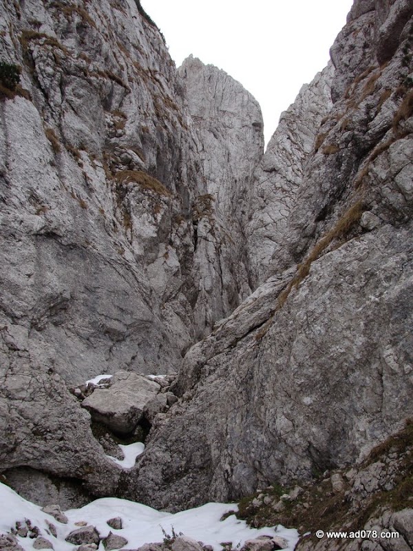 cioranga ramura de sus-27.JPG