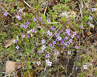 DSCN1909.JPG