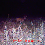MDGC0367.JPG