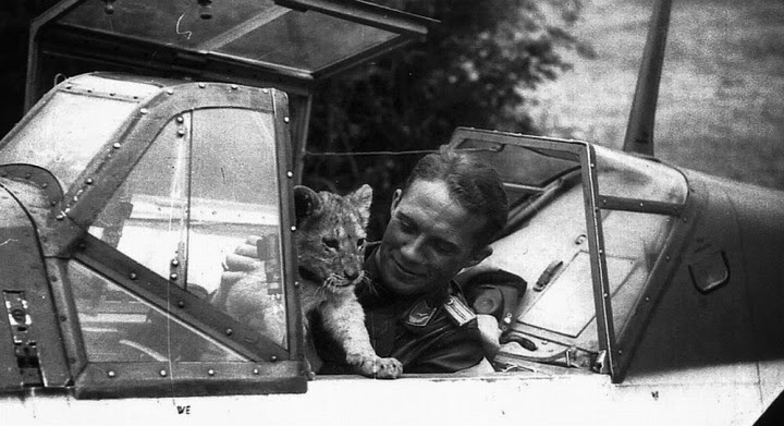 Franz von Werra lieutenant-franz-von-werra-and-lion-cub