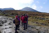 P1100164.JPG Photo