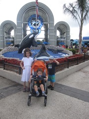 IMG_7488 IMG_7488