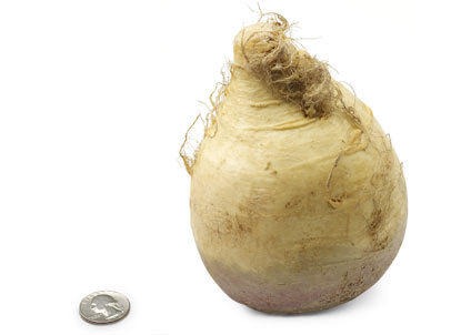 [25-rutabaga%255B3%255D.jpg]