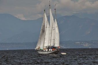 DSC_0310_2.jpg DSC 0310 2