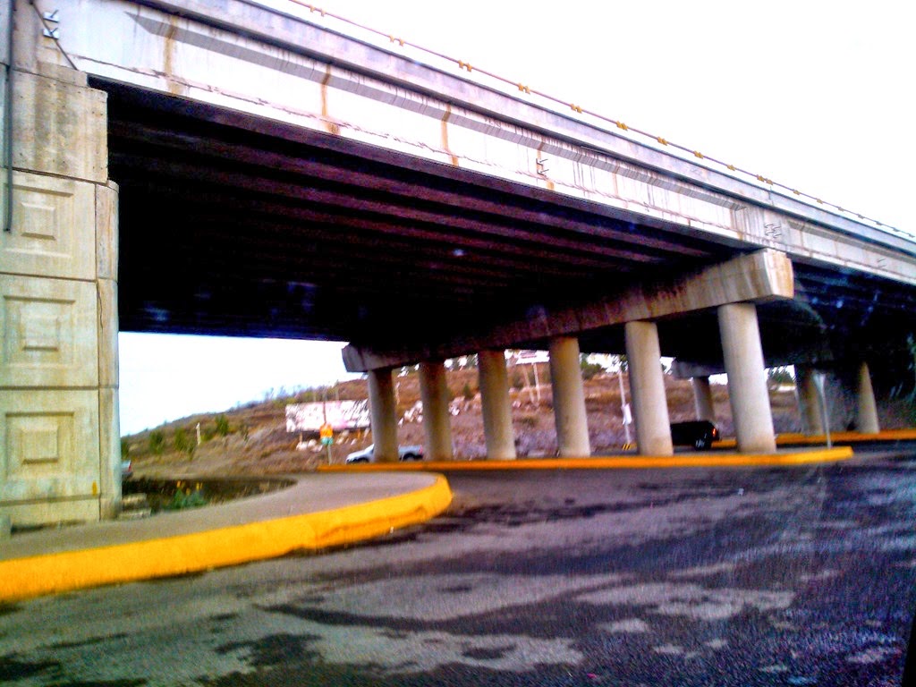 [WP_000510%255B4%255D.jpg]