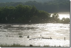 Yucatan Flood RR24