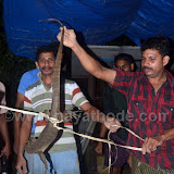 Udumbu at Nayathode 12.JPG
