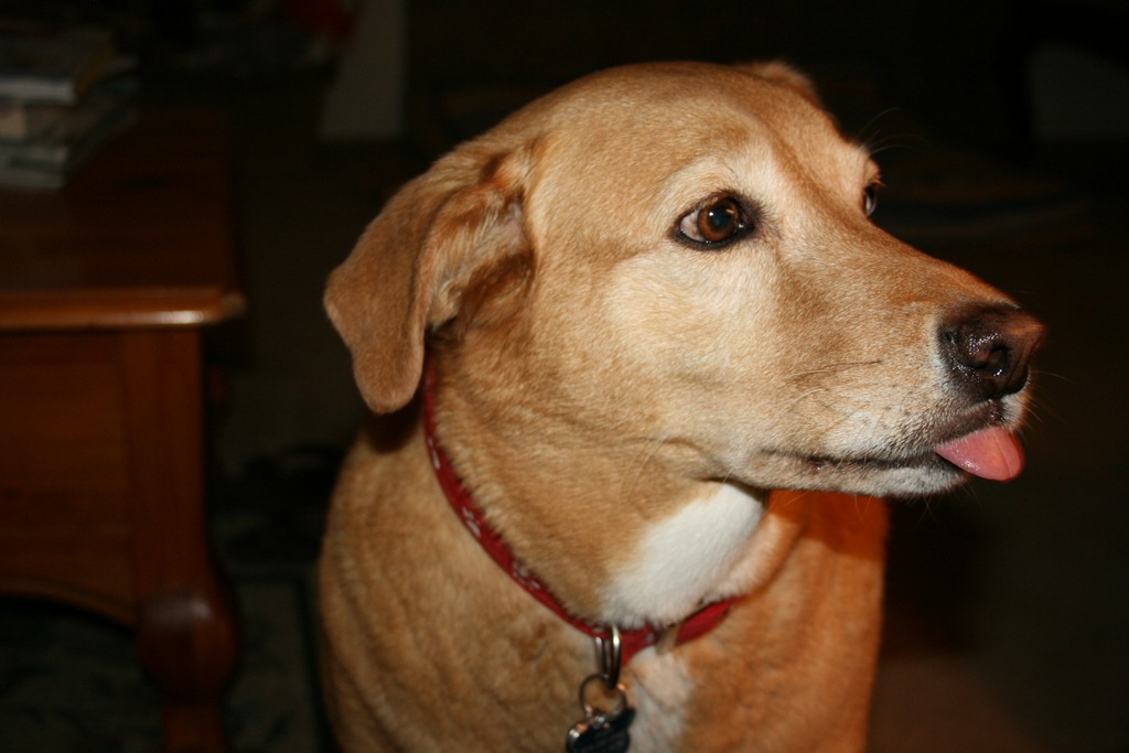 [IMG_3336%255B3%255D.jpg]