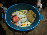 This was the best we could do for a bed for Matimu. We didn't want him to be directly on the floor because we didn't want those awful Red Roman spider-bugs to get him. But, he was a little cramped in the wash-bucket! Transition to Madagascar - 095.jpg