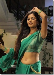 Actress-Monal-Gajjar-Hot in saree
