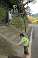 IMG_5077.JPG Photo