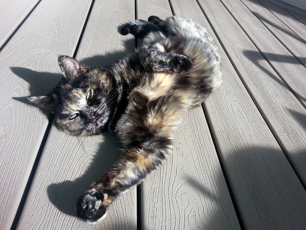 [20130512_092022%255B3%255D.jpg]