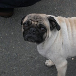 DSCN3435.jpg