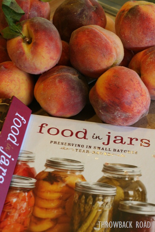 [beets%2520and%2520peach%2520jam%2520022%255B5%255D.jpg]
