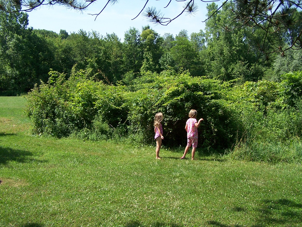 [100_2113%255B4%255D.jpg]