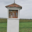 DSC_1339.JPG