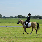 60D_00639.jpg